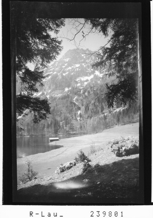 [Blick vom Laudachsee zum Traunstein]