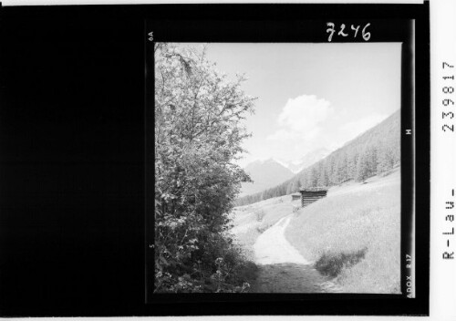 [Blick zur Schlicker Seespitze]