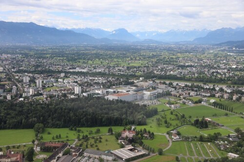 [Bregenz - Vorkloster, Mehrerauerwald, Blum]