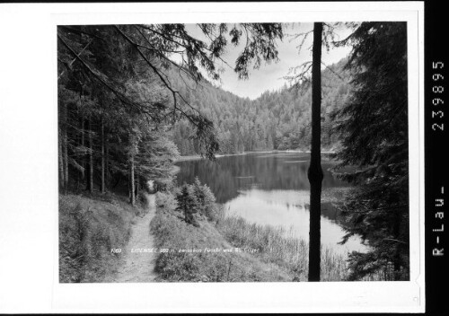 Eibensee 960 m, zwischen Fuschl und St. Gilgen