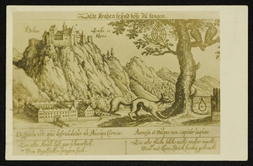 Alte Krahen Seynd böss zu fangen: Hohen Embs in Rhetia