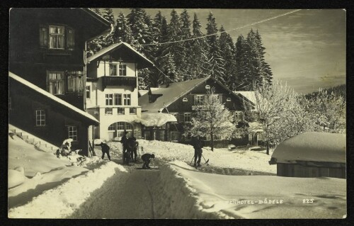 Alpenhotel-Bödele