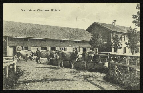 Die Meierei Oberlose, Bödele. : [Alpenhotel Bödele bei Dornbirn : 1140 m ü. M. - Telephon Nr 1]