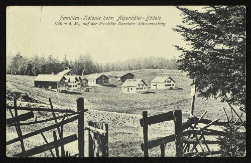 Familien-Kolonie beim Alpenhôtel-Bödele : 1140 m ü. M., auf der Passhöhe Dornbirn-Schwarzenberg