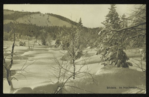 Bödele. Im Hochmoor : [Alpenhotel Bödele : Telephon No. 1 : Wintersportplatz Bödele 1140 bis 1467 m ü. M. bei Dornbirn]