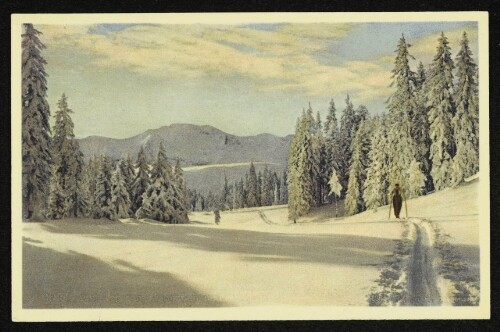 [Bödele, am Weg zur Weissenfluh und First]