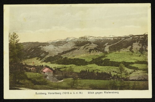 Sulzberg, Vorarlberg (1015 m ü. d. M.) : Blick gegen Riefensberg