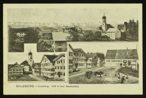 Sulzberg i. Vorarlberg. 1015 m über Meereshöhe : [Korrespondenz-Karte]