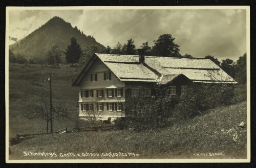 Schnepfegg Gasth. z. Ochsen Gopfspitze 1113 m
