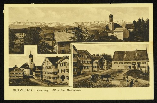 Sulzberg i. Vorarlberg. 1015 m über Meereshöhe : [Korrespondenz-Karte]