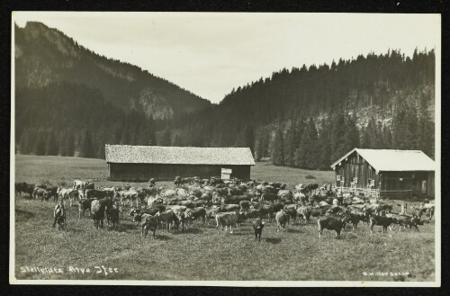 Stellplatz Alpe Ifer