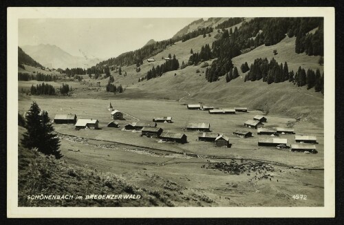 Schönenbach im Bregenzerwald
