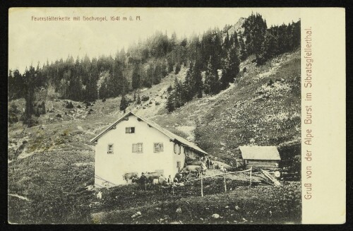 Gruß von der Alpe Burst im Sibratsgfellerthal : Feuerstätterkette mit Hochvogel, 1641 m ü. M.