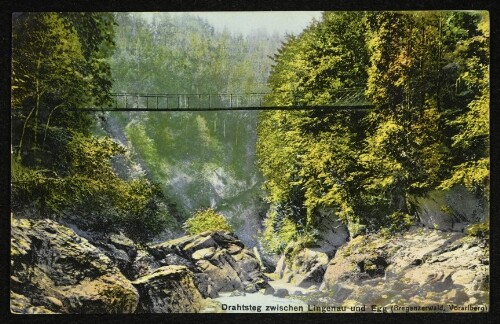 Drahtsteg zwischen Lingenau und Egg (Bregenzerwald, Vorarlberg)