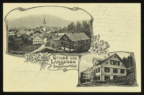 Gruss aus Lingenau Bregenzerwald : Totalansicht : Handlung v G. Immler