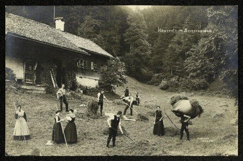 Heuernte im Bregenzerwald