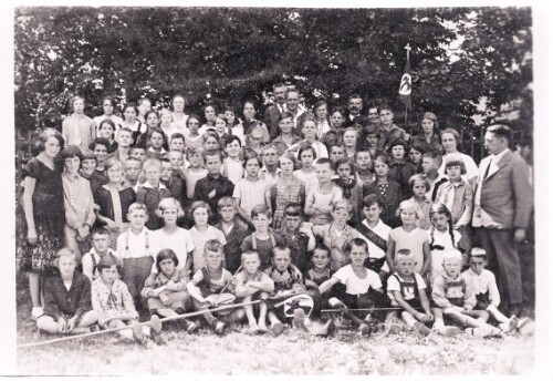 Rote Falken auf dem Pfänder