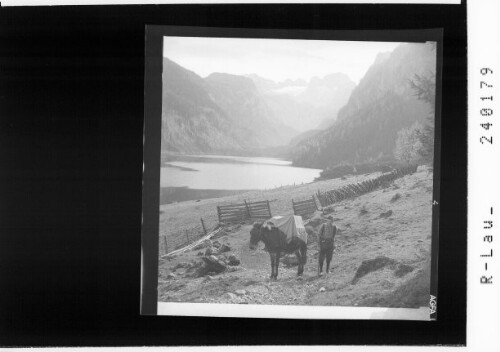 [Tragtierführer mit Tragtier am Vorderen Gosausee mit Blick in den Dachstein / Salzkammergut]