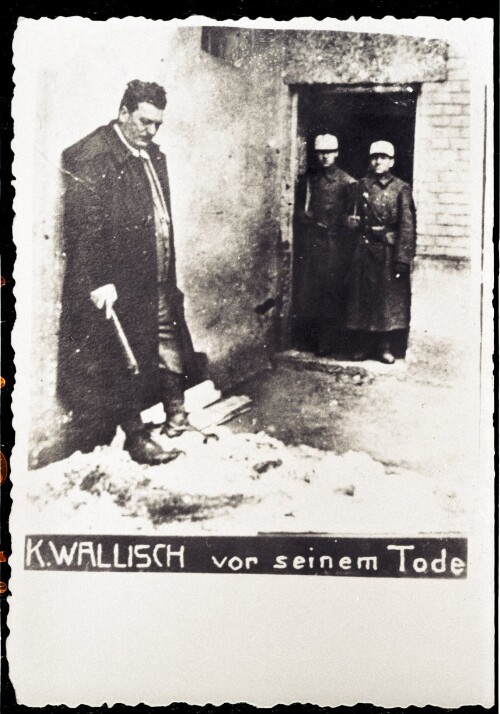 K. Wallisch vor seinem Tode