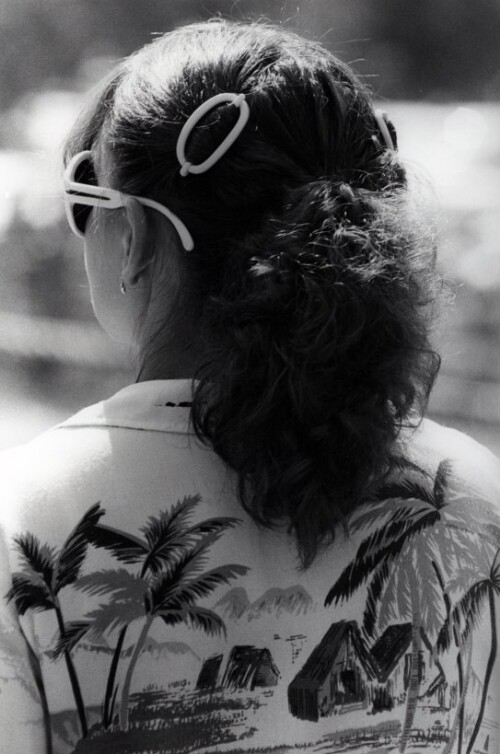 Bregenz, Blickwechsel, Köpfe von hinten, am See