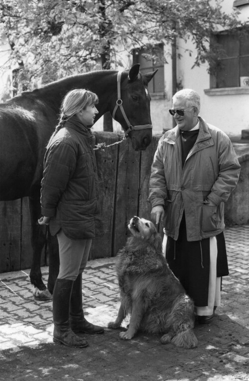 Kloster Mehrerau, Pferde