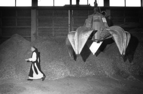 Kloster Mehrerau, Hackschnitzel