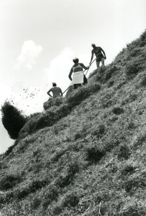 Steiles Erbe - Großes Walsertal, Heuernte in Fontenella