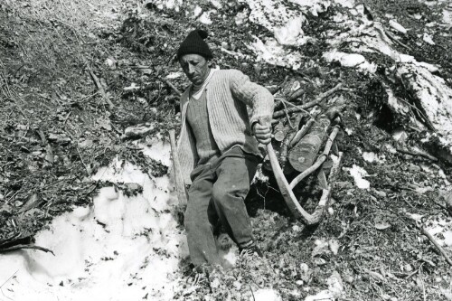 Steiles Erbe - Großes Walsertal, Waldarbeiten in Fontanella