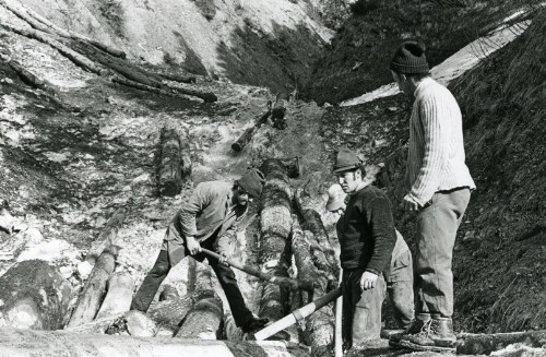 Steiles Erbe - Großes Walsertal, Waldarbeiten in Fontanella