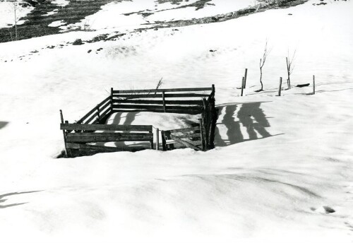 Steiles Erbe - Großes Walsertal, Sonntag - Schmitta
