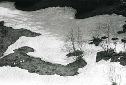Steiles Erbe - Großes Walsertal, Winterende in Fontanella - Seewald
