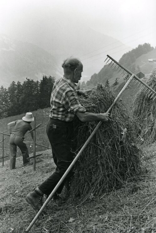 Steiles Erbe - Großes Walsertal, Heuarbeit in Fontanella