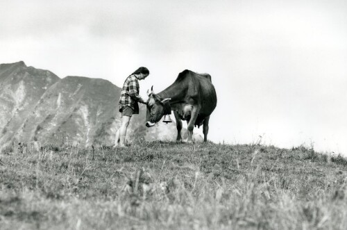 Steiles Erbe - Großes Walsertal, Walserkamm