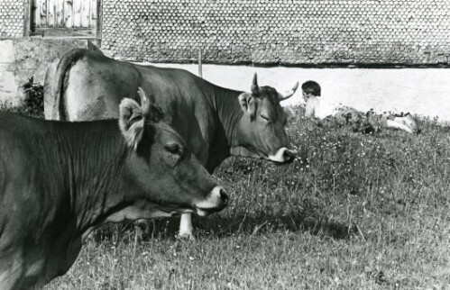 Großes Walsertal, Sonntag-Oberbuchholz