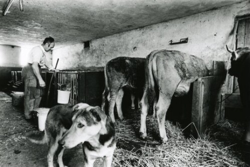 Großes Walsertal, Bauernhof von Damian Burtscher in Fontanella-Mittelberg