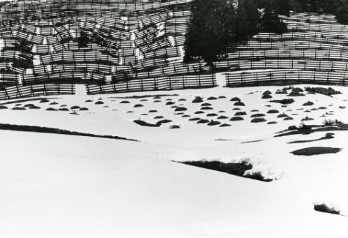 Großes Walsertal, Lawinenverbauung in Faschina