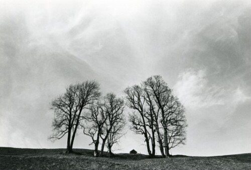Großes Walsertal, Sonntag - Oberbuchholz