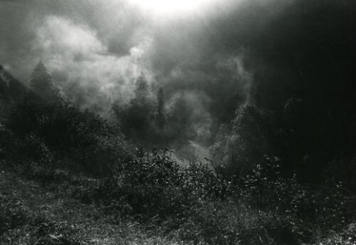 Großes Walsertal, Alpe Laguz