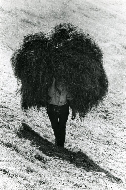 Großes Walsertal, Heuernte in Sonntag-Garsella