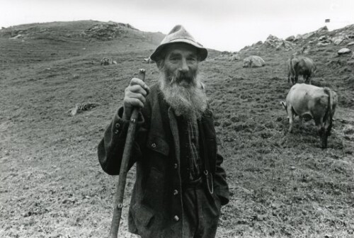 Großes Walsertal, Wilhelm Burtscher auf der Alpe Laguz