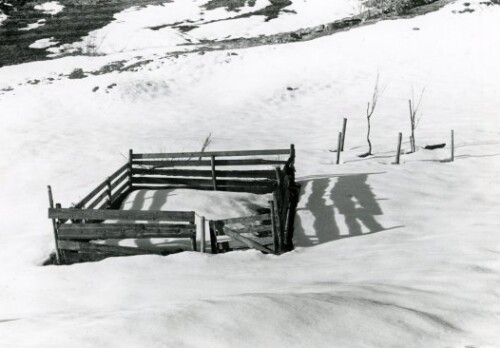 Großes Walsertal, Sonntag-Schmitta