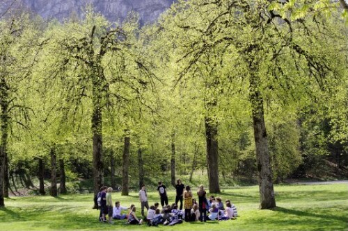 Feldkirch - Reichenfeld