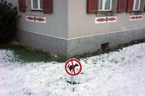 Feldkirch - Graffiti