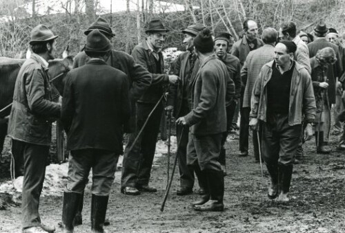 Großes Walsertal, Viehausstellung in Sonntag-Garsella
