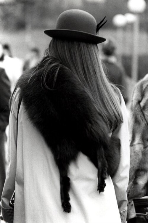 Wien, Blickwechsel, Köpfe von hinten