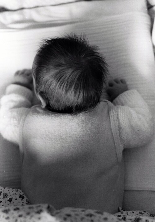 Feldkirch, Blickwechsel, Köpfe von hinten