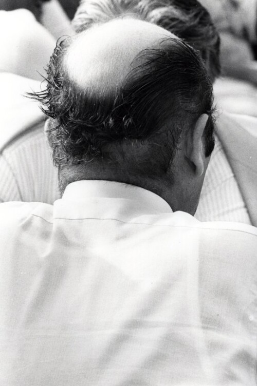 Bregenz, Blickwechsel, Köpfe von hinten, Fritz Mayer