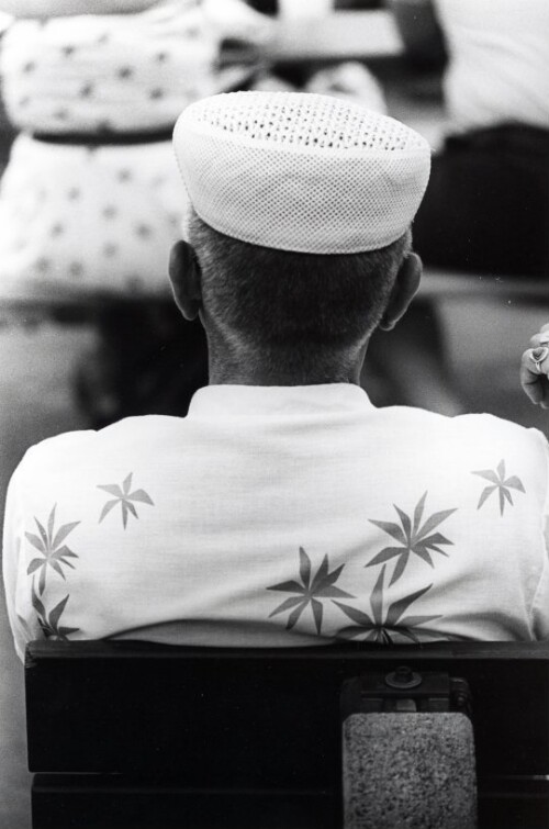 Bregenz, Blickwechsel, Köpfe von hinten, Bank beim Bodensee