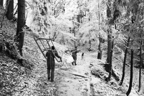 Frastanz - Heu ziehen