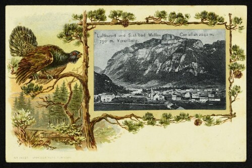 Luftkurort und Stahlbad Mellau